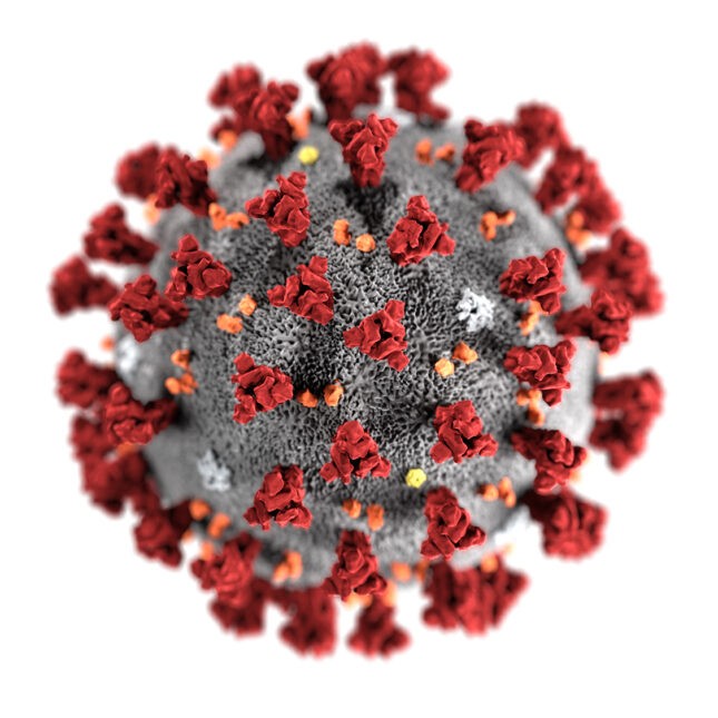 Coronavirus-CDC-645x645-1.jpg